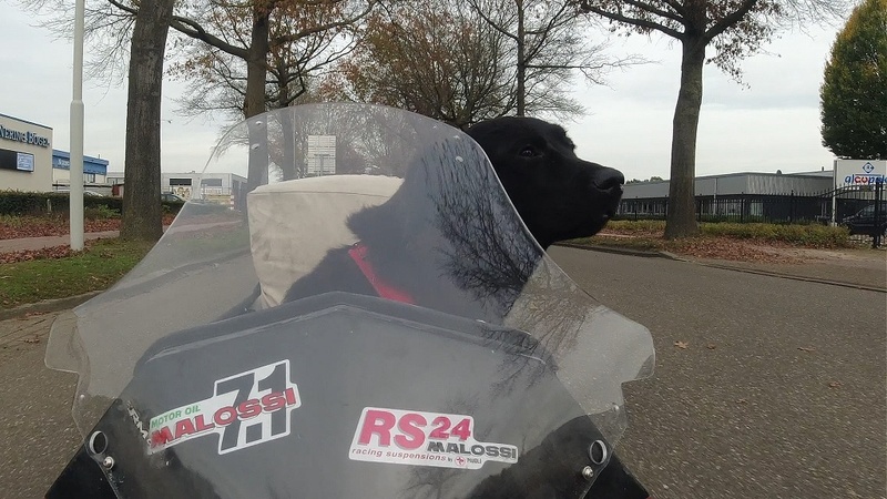 Afbeeldingslocatie: https://tweakers.net/i/QTPbKkfl4-IbYLghBwSUsgTlZSI=/800x/filters:strip_icc():strip_exif()/f/image/kp0soVAiDhhcfwyK2aODuGyW.jpg?f=fotoalbum_large