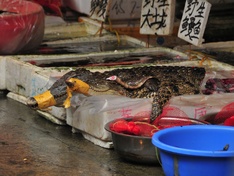 Afbeeldingslocatie: https://tweakers.net/i/QUVaEMkbH1W9n74CeeS_L17qKsw=/234x176/filters:strip_icc():strip_exif()/f/image/UVQgGwNWMbw1XV0W2eFVnTga.jpg?f=fotoalbum_medium