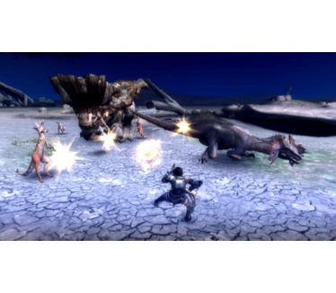 Monster Hunter Tri