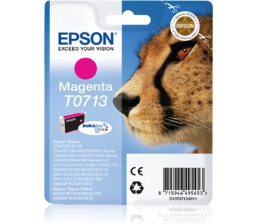 Epson T0713