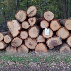 Afbeeldingslocatie: https://tweakers.net/i/Q_oLLGxKkN2svGwPz0-e8edvVZI=/232x232/filters:strip_icc():strip_exif()/f/image/E3OArrop2KdgLY4ApqTa8HBO.jpg?f=fotoalbum_tile