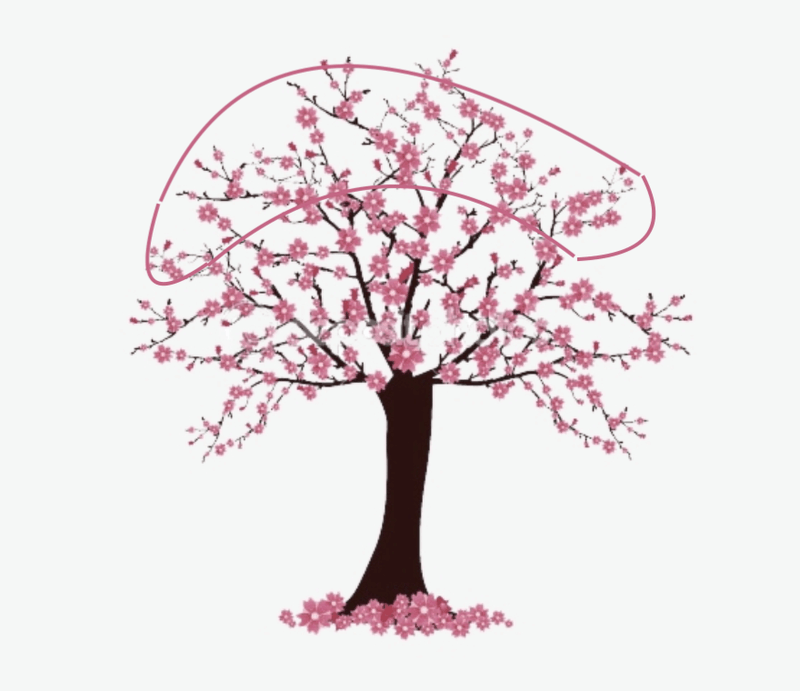 Afbeeldingslocatie: https://tweakers.net/i/QaLFGetE3HCUMFiNFzxGTpMha9A=/800x/filters:strip_exif()/f/image/kjOIJyMhttnse7MVSYmX5fJL.png?f=fotoalbum_large
