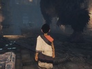 The Last Guardian