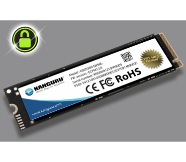 iStorage SED300