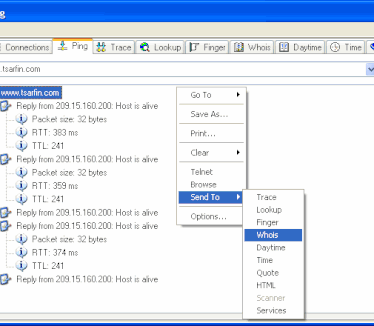 NetInfo - ping screenshot