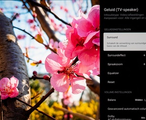 Sony Bravia 8 II - geluid