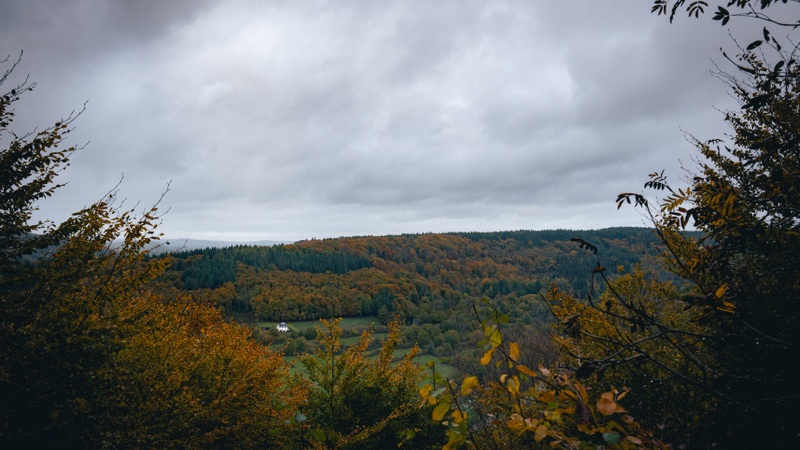 Afbeeldingslocatie: https://tweakers.net/i/QlHURHYVAf2R4BxYL8JORIddyyw=/800x/filters:strip_icc():strip_exif()/f/image/hYSDKHRCzUjvkLGZMWFP6zPY.jpg?f=fotoalbum_large