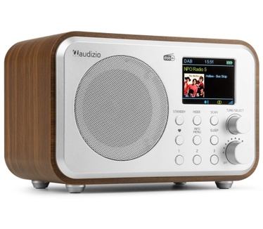 Audizio Milan