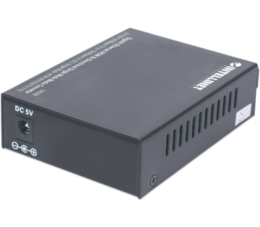 Intellinet 545068