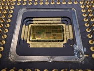 OnePlus 11 Cameratest - Macrofoto's