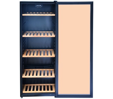 Guzzanti GZ 100