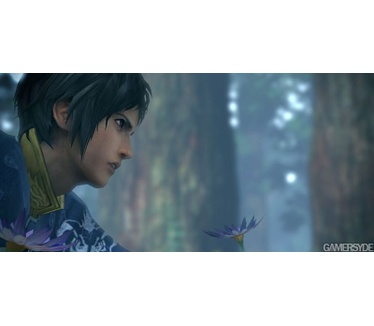 The Last Remnant
