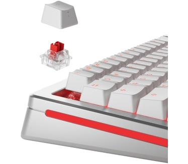 Glorious PC Gaming Race GLO-KB-ACC-SWT-FOX-HE-36