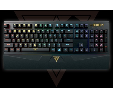 Gamdias Hermes P1 Mechanical keyboard RGB Brown US