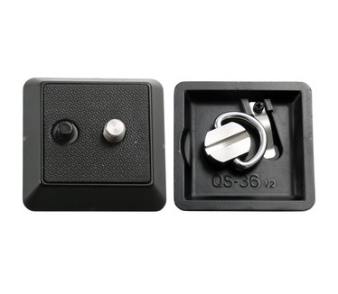 Vanguard ALTA CA 203AP