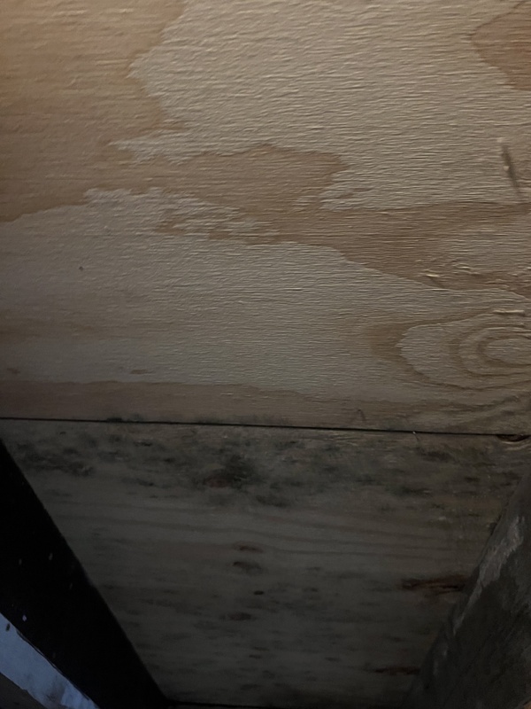 Afbeeldingslocatie: https://tweakers.net/i/QwIrRyqQSdXo9ZoAjHEND6xF_Qk=/x800/filters:strip_icc():strip_exif()/f/image/KZKlUyaiTd2PwhmJjZNWF30w.jpg?f=fotoalbum_large