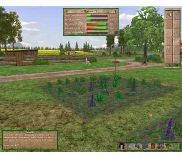 The Farm