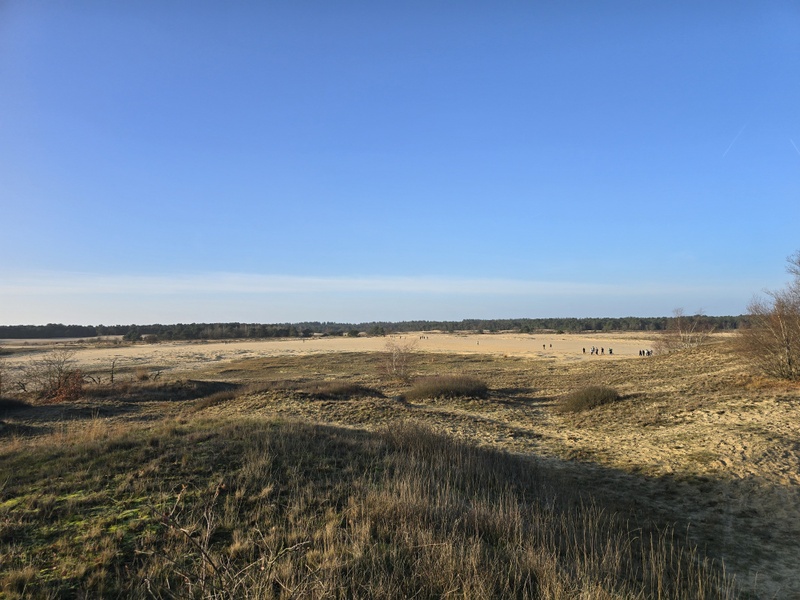 Afbeeldingslocatie: https://tweakers.net/i/QyKyF_cWc9VMMXD2nk4tCZNczTw=/800x/filters:strip_icc():strip_exif()/f/image/Poxs5HYO1lLsHUz6ks0RxDW6.jpg?f=fotoalbum_large