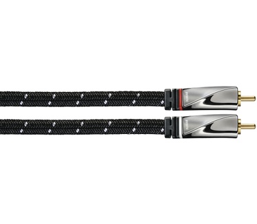 Avinity 0.5m, 2xRCA