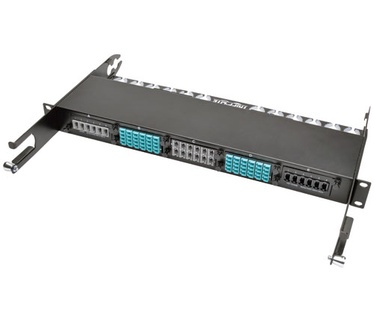 Tripp-Lite N482-12M12-X2