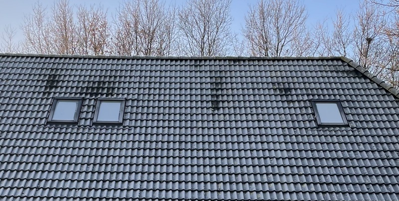 Afbeeldingslocatie: https://tweakers.net/i/R2IvCs5ypS-BjKHW6YUIZNbo_1o=/800x/filters:strip_icc():strip_exif()/f/image/6jjwZ98bGWodZaJHoHHA6nzD.jpg?f=fotoalbum_large