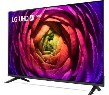LG 55UR73006LA.APIQ