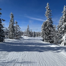 Afbeeldingslocatie: https://tweakers.net/i/R9CepMdbu2sjYmECZ5UrHxezEBo=/232x232/filters:strip_icc():strip_exif()/f/image/a01O7jTh72TfYpcyED1M8cRe.jpg?f=fotoalbum_tile