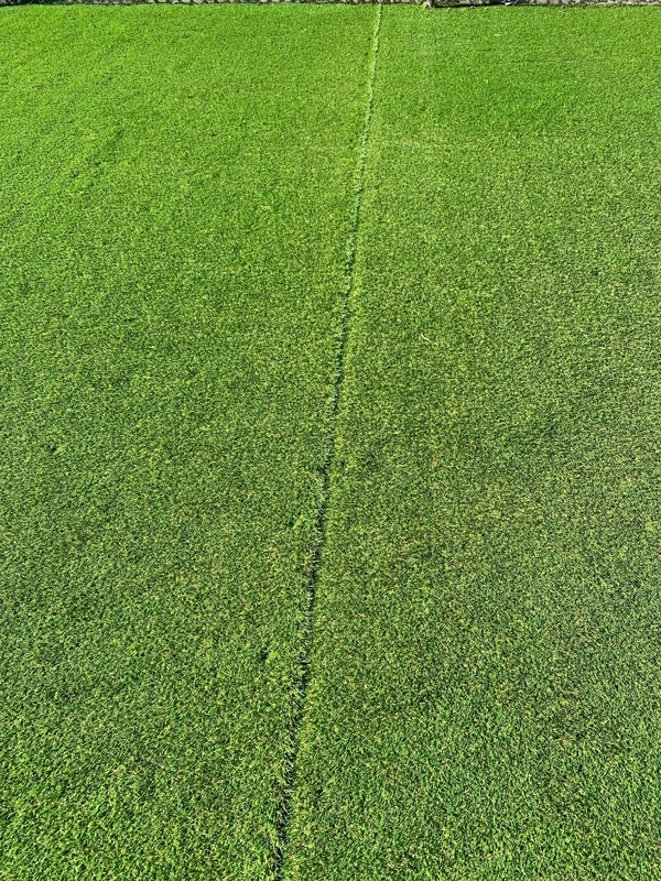 Afbeeldingslocatie: https://tweakers.net/i/RAYtp3z6mVU_7eOO8xh1CYEX_hE=/x800/filters:strip_icc():strip_exif()/f/image/8U9T5AbN34HQT2aCEe23vHrN.jpg?f=fotoalbum_large