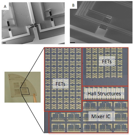 IBM grafeen-wafer IBM grafeen-wafer