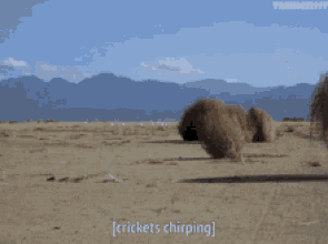 Afbeeldingslocatie: https://tweakers.net/i/RF9O_TzmtYjGrhk0HMkd6z--bwA=/full-fit-in/4000x4000/filters:no_upscale():fill(white):gifsicle():strip_exif()/f/image/ENKx4hvm1lJagxwNSKdquP7A.gif?f=user_large