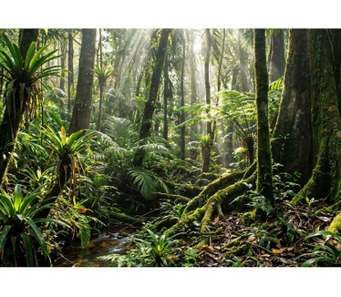 HP OmniBook 3 Laptop 14-hy0002nbx