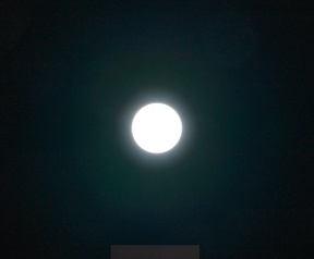 Apple Studio Display XDR - Local dimming