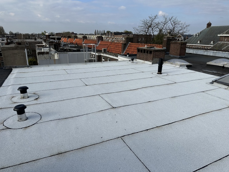 Afbeeldingslocatie: https://tweakers.net/i/RKqhD-lWC3hw90voDJu9BCWl_AU=/800x/filters:strip_icc():strip_exif()/f/image/06rVKDcuLG6o4f2AGgrumACd.jpg?f=fotoalbum_large