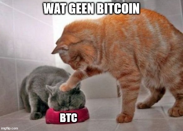 Afbeeldingslocatie: https://tweakers.net/i/RLc_8jhDejLaQzPoqYY_EohqSaQ=/fit-in/4920x3264/filters:max_bytes(3145728):no_upscale():strip_icc():strip_exif()/f/image/1rmmraZ3IP2pzsYFZiUFVnx2.jpg?f=user_large