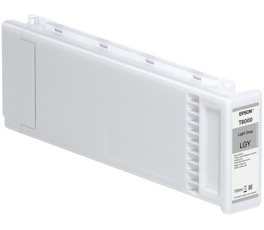 Epson T800000