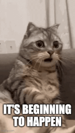 Afbeeldingslocatie: https://tweakers.net/i/RP6jW3bqZVgt3U_c-R6R6i73Fsc=/fit-in/4000x4000/filters:no_upscale():gifsicle():strip_exif()/f/image/P7v8DuBflSkLu08kNJT3tvc5.gif?f=user_large