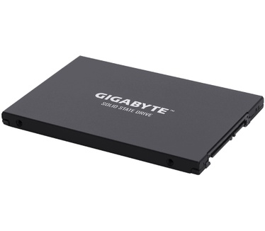 Gigabyte UD Pro 256GB