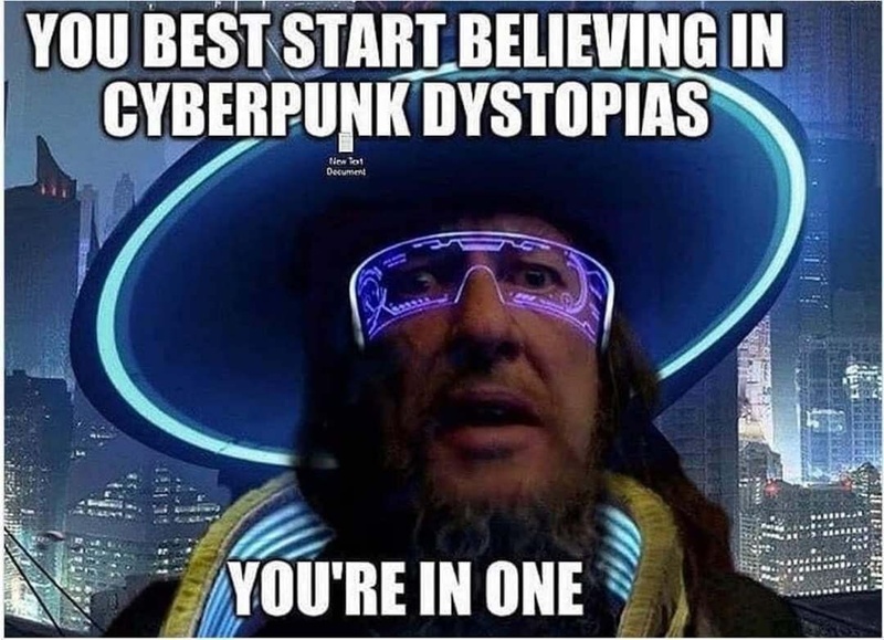 Afbeeldingslocatie: https://tweakers.net/i/RR9drwN90KYYXUbTFaCKI7WpoiQ=/800x/filters:strip_icc():strip_exif()/f/image/nXdbkHjJ8xAoWxFdCsWaNNVD.jpg?f=fotoalbum_large
