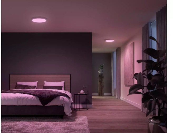 Philips Hue White and Color ambiance Surimu, rond paneel