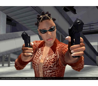 Enter the Matrix