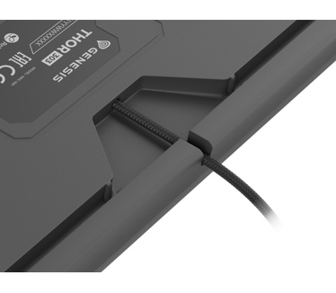 Genesis Thor 303