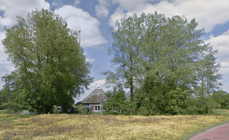 Afbeeldingslocatie: https://tweakers.net/i/RVf2p30H_cW568_SUxbvBxbxAC8=/800x/filters:strip_exif()/f/image/s9nkaMxJHYG8mtIOuJSTxdZi.png?f=fotoalbum_large