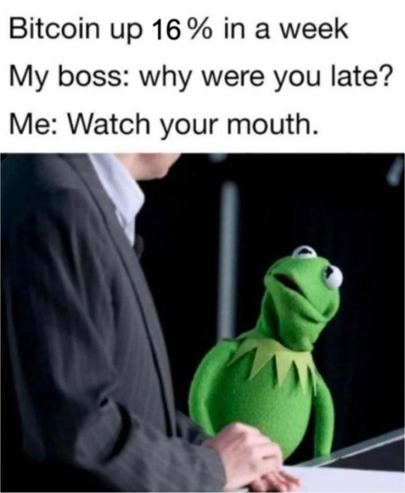 Afbeeldingslocatie: https://tweakers.net/i/RX6rP4TSNNC6TqhBhQxIn8uNaDc=/full-fit-in/4920x3264/filters:max_bytes(3145728):no_upscale():strip_icc():fill(white):strip_exif()/f/image/52pHPpMT5tEqfUKOiLos5fgo.jpg?f=user_large