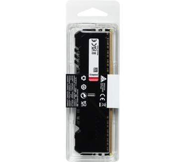 Kingston Beast RGB