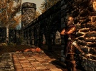 The Elder Scrolls V: Skyrim