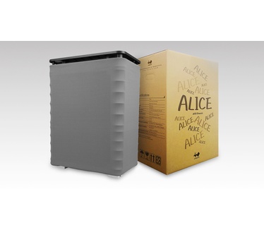 In Win Alice