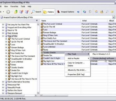 Anapod Explorer screenshot (410 pix)