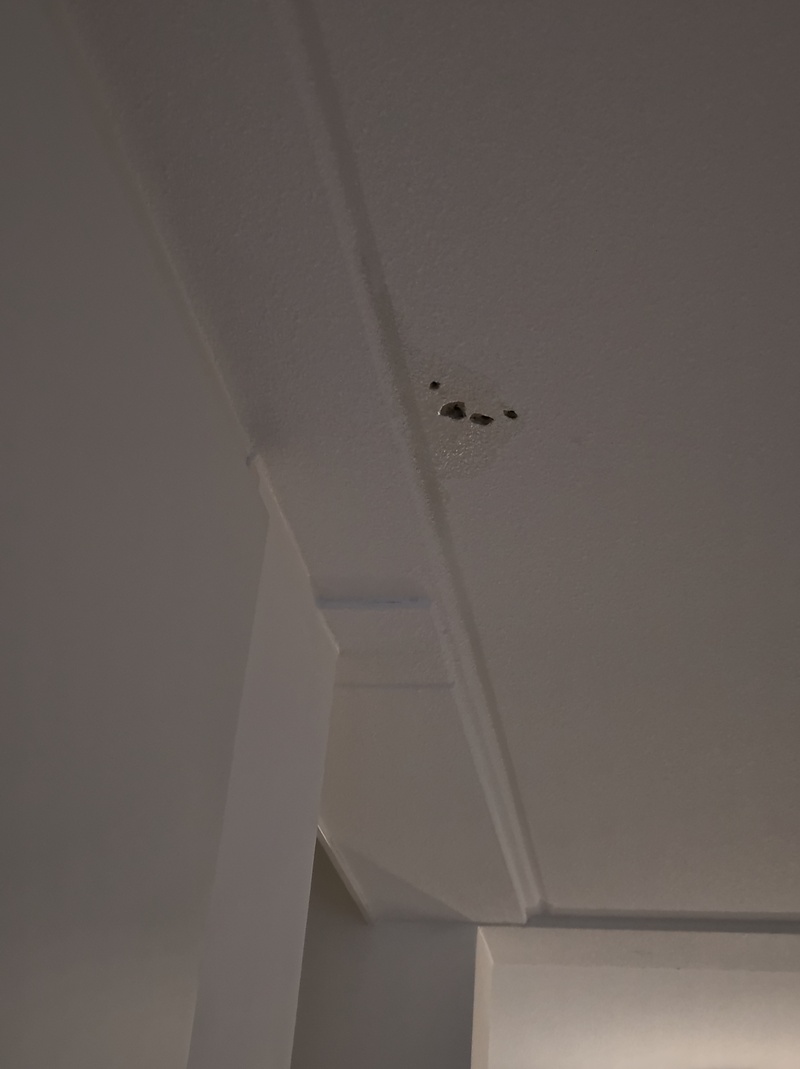 Afbeeldingslocatie: https://tweakers.net/i/RaKKVpzu-9Xi1Tblzya3NzBDP-U=/800x/filters:strip_icc():strip_exif()/f/image/eqgggYrpnxGN7X1TQ8IXiVTS.jpg?f=fotoalbum_large