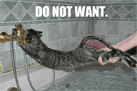 Do not want