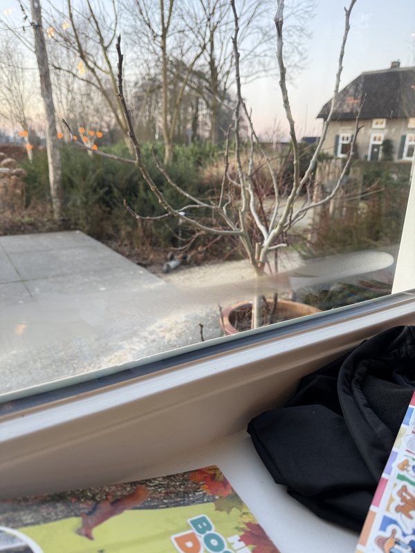 Afbeeldingslocatie: https://tweakers.net/i/RcjfHnFyL4gYQJaLyRS3Ba1VW4A=/x800/filters:strip_icc():strip_exif()/f/image/s8LnZv9U410RXu7Iol5wA46y.jpg?f=fotoalbum_large